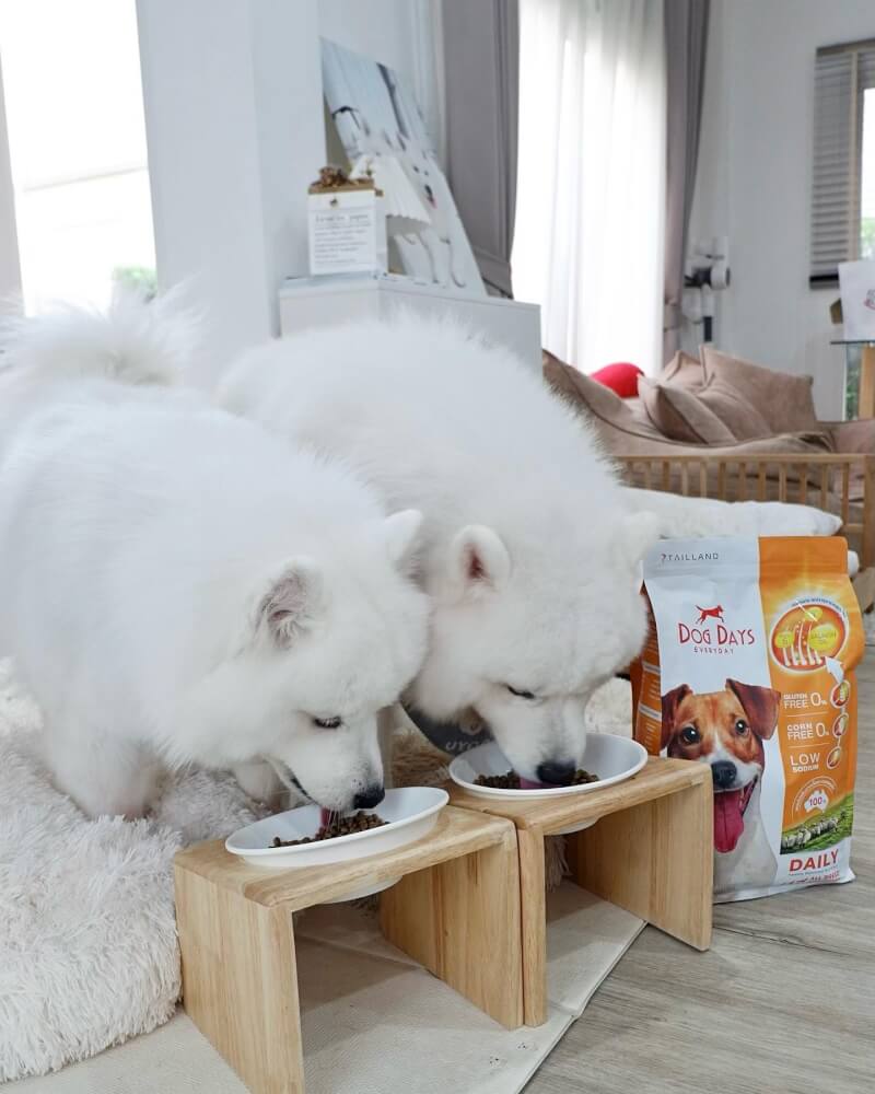 อาหารเม็ดสำหรับสุนัข DOG DAYS DAILY เกรดโฮลิสติก รสเนื้อแกะ สูตรลดขนร่วงโดยเฉพาะ (3 KG)